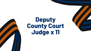 Deputy County Court Judge x11